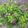 Arranjo de Folhagem Artificial Mini Flor (16cm) Roxo - 3