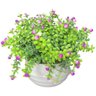 Arranjo de Folhagem Artificial Mini Flor (16cm) Roxo - 1