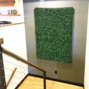 Ver imagem 4 de 19 Placas Buxinho Artificial Jardim Vertical Parede Verde 3d Decoração Folhagem