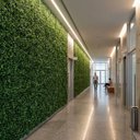 Ver imagem 6 de 19 Placas Buxinho Artificial Jardim Vertical Parede Verde 3d Decoração Folhagem