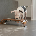 Ver imagem 2 de Tratador Pet Teseu Grande