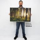 Ver imagem 2 de Quadro Decorativo Caixa Alta com Vidro Floresta Sobre a Luz do Sol TaColado Moldura Branca 90 x 60c