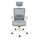 Ver imagem 1 de Cadeira New Ergon Office – Ergonomia e Conforto
