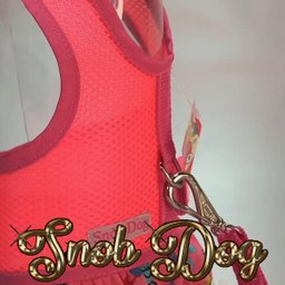 Coleira para Cachorros +Guia Snobdog - P - Fúcsia - 3