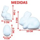 Ver imagem 4 de Kit 12 Coelhos com Ovos Páscoa em Isopor para Pintar Tintas