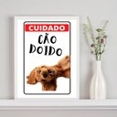 Ver imagem 1 de Quadro Decorativo Cuidado Cão Doido 24x18cm - com Vidro:madeira Branca