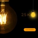 Ver imagem 5 de Lâmpada Filamento Led G95 4w 400lm Branco Quente 2500k Redonda E27 Biv Marca Roya