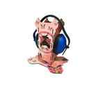 Ver imagem 1 de 6 Kits Proteção Auditiva Clean para Sala de Silêncio em Escolas