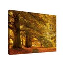 Ver imagem 1 de Quadro Decorativo Cenário de Outono