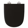 Assento Sanitario Poliester com Amortecedor Ezedra Preto para Vaso Ideal Standard - 1