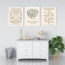 Ver imagem 2 de Kit 3 Quadros Artes Matisse Bege 24x18cm - com Vidro:moldura Preta