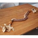 Ver imagem 1 de Colar de Mesa Decorativo Naru 117 Cm Moderna Mobília