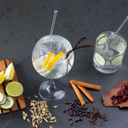 Kit Gin Premium: Taça, Dosador, Colher e 6 Especiarias Selecionadas - 4