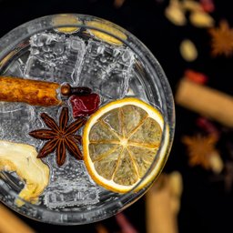 Kit Gin Premium: Taça, Dosador, Colher e 6 Especiarias Selecionadas - 5