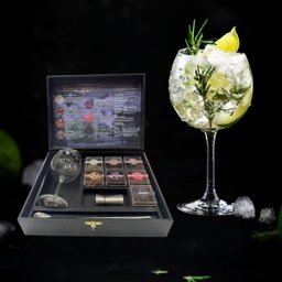 Kit Gin Premium: Taça, Dosador, Colher e 6 Especiarias Selecionadas - 7