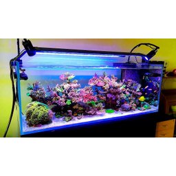 Bomba Submersa Ocean Tech Ac-4000 L/h 35w Aquario Lago 220v - 7