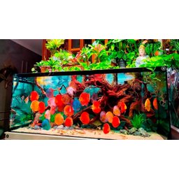 Bomba Submersa Ocean Tech Ac-4000 L/h 35w Aquario Lago 220v - 8