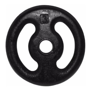 Anilha Pintada Peso Academia Musculação 3 Kg