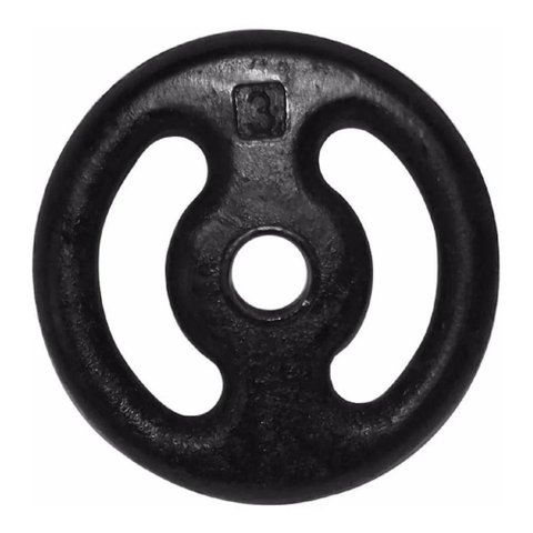 Anilha Pintada Peso Academia Musculação 3 Kg