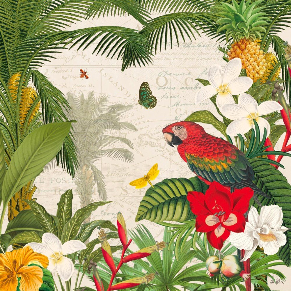 Parrot Paradise Iii Canaleta 80x80cm Preta