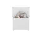 Ver imagem 6 de Baú Organizador Multimóveis Fg2315 Branco