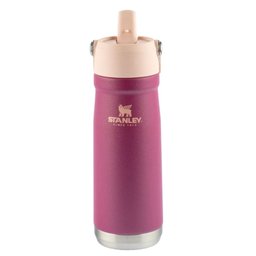 Garrafa Stanley Térmica Flip Straw Raspberry em Aço Inoxidável 651ml 08252-00 - 1
