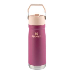 Garrafa Stanley Térmica Flip Straw Raspberry em Aço Inoxidável 651ml 08252-00 - 5