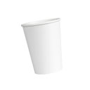 Ver imagem 2 de Copo de Papel Biodegradável 200ml Branco 50 Un Kit 4