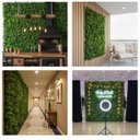 Ver imagem 5 de 22 Quadros Artificiais Samambaia Eucalipto para Jardim Vertical Decorativo Cobertura Total Premium