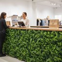 Ver mais imagens de 22 Quadros Artificiais Samambaia Eucalipto para Jardim Vertical Decorativo Cobertura Total Premium