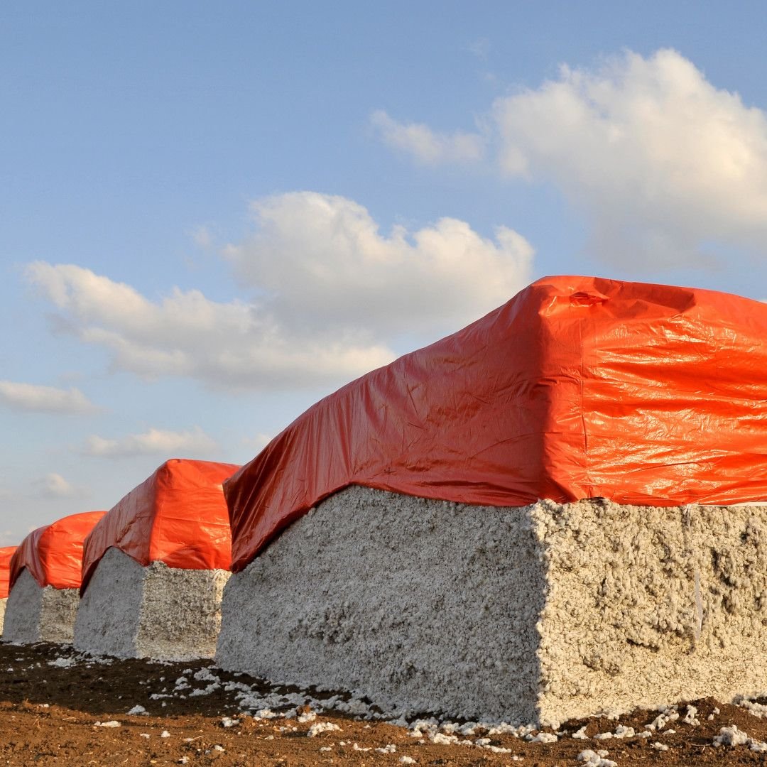 Lona Flex Laranja 3x2m - Master Lonas - 6