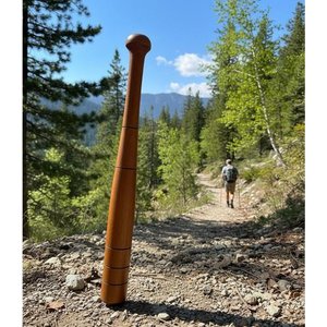 Bastão de Madeira de Reflorestamento:marrom-claro