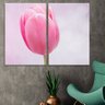 Kit 2 Telas Decorativas Tulipa Rosa Médio - 2