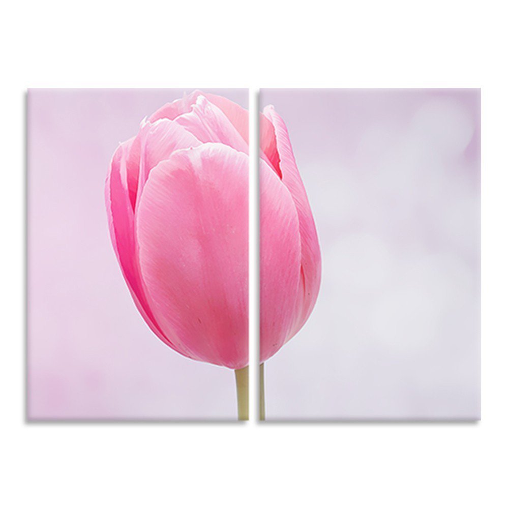 Kit 2 Telas Decorativas Tulipa Rosa Médio - 1