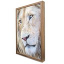 Ver imagem 4 de Quadro Decorativo Leão Branco em Moldura Caixa Tacolado Moldura Trad 1cm Branca com Vidro 30 X 40cm