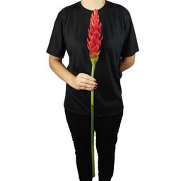 HASTE FLOR BROMÉLIA VERMELHA 87CM - 4