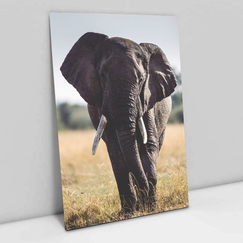 Quadro Decorativo em Canvas Elefante Caminhando - Moldura Madeira - 120 x 80cm