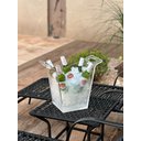 Ver imagem 2 de Balde de Gelo