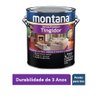 Verniz Premium Tingidor Acetinado Montana 3,6lt Mogno - 4
