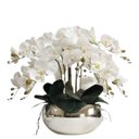 Ver imagem 1 de Arranjo Luxo 8 Flores de Orquídeas Real Branca Vaso Espelho