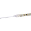 Ver imagem 3 de Fita LED Techfree 10m 20W-m 240 Leds-m Ligação Direta IP65 6500k Branco Frio Taschibra 220V