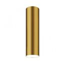 Dourado
