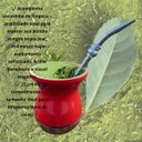 Ver imagem 5 de Bomba para Chimarrão Purinox 23cm Inox 304 Bojo Fixo