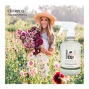 Ver imagem 2 de Água de Passar Roupa Botanica Essence 34. Farme Gold 500ml