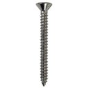 Ver imagem 2 de Parafuso Inox Auto Atarraxante Chata Phillips Stein 5,5x50 Caixa com 100 Peças