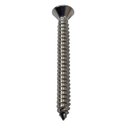 Ver imagem 3 de Parafuso Inox Auto Atarraxante Chata Phillips Stein 5,5x50 Caixa com 100 Peças