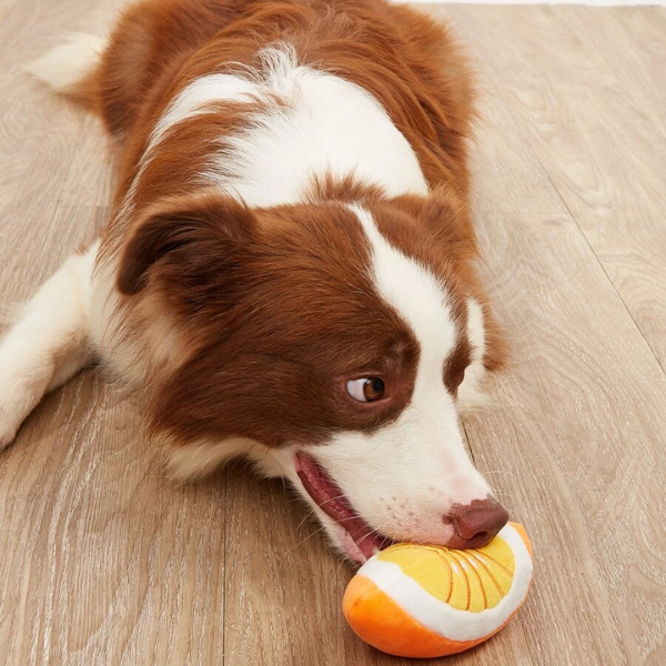 Mordedor de Pelúcia Laranja para Cachorro