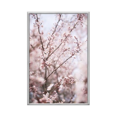 Quadro Decorativo - Beleza da Primavera Flnt064 - Vidro com Impressão Uv - 80x60cm