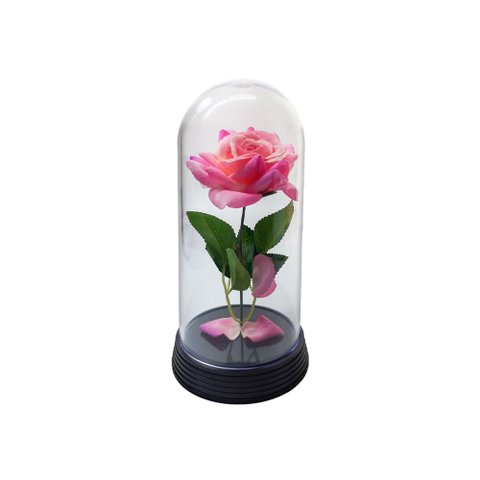 Redoma a Rosa Encantada o Girassol Encantado 19 Cm de Altura - Rosa Rosa