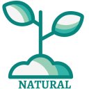 Ver imagem 2 de Óleo Essencial de Olíbano – 5 mL WNF